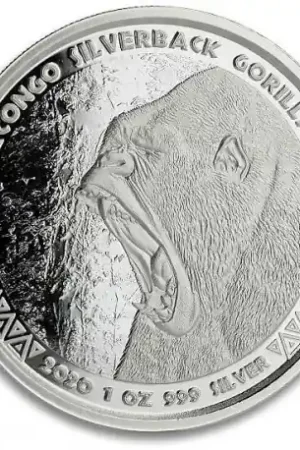 Republic of Congo Silverback Gorilla 1 troy ounce zilveren munt 2020 - Goudverzekerd Tylko dziś