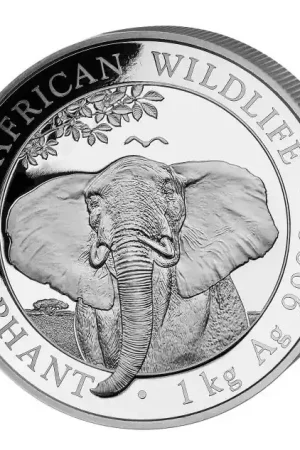 Premium Somalia Elephant 1 kilo zilveren munt 2021 - Goudverzekerd
