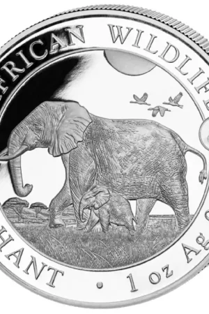 Somalia Elephant 1 troy ounce Privy Tiger zilveren munt 2022 - Goudverzekerd Popularny