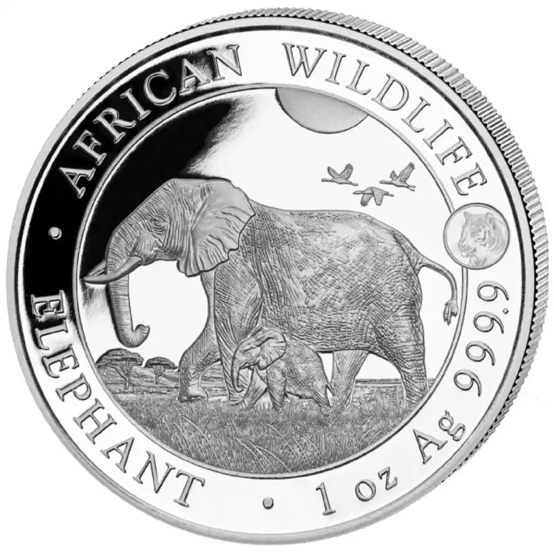 Somalia Elephant 1 troy ounce Privy Tiger zilveren munt 2022 - Goudverzekerd Popularny