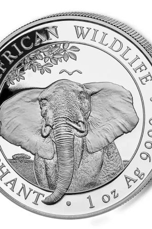 Somalia Elephant 1 troy ounce zilveren munt 2021 - Goudverzekerd Autentyczny