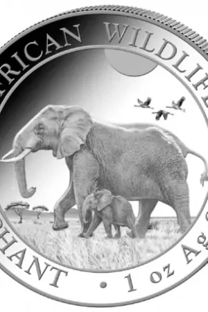 Somalia Elephant 1 troy ounce zilveren munt 2022 - Goudverzekerd Najlepsza cena