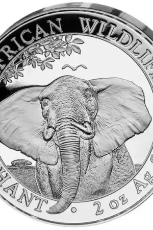 Nowość Somalia Elephant 2 troy ounce zilveren munt 2021 - Goudverzekerd