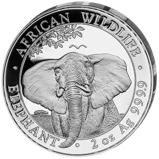 Nowość Somalia Elephant 2 troy ounce zilveren munt 2021 - Goudverzekerd