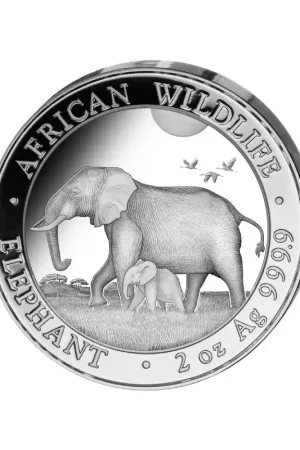 Somalia Elephant 2 troy ounce zilveren munt 2022 - Goudverzekerd Ostatnia szansa