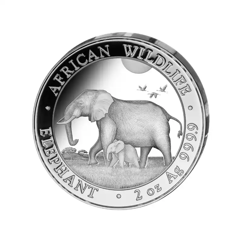Somalia Elephant 2 troy ounce zilveren munt 2022 - Goudverzekerd Ostatnia szansa