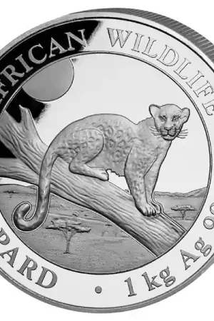 Somalia Leopard 1 kilo zilveren munt 2021 - Goudverzekerd Ekspresowa dostawa