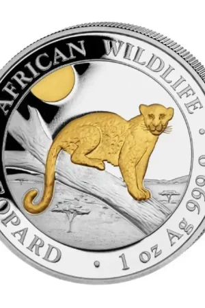 Wysoka jakość Somalia Leopard 1 troy ounce zilveren munt goud gekleurd 2021 - Goudverzekerd