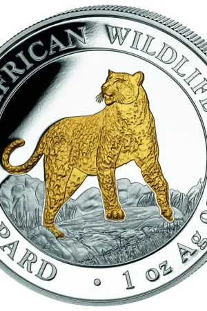 Szybka dostawa Somalia Leopard 1 troy ounce zilveren munt goud gekleurd 2022 - Goudverzekerd
