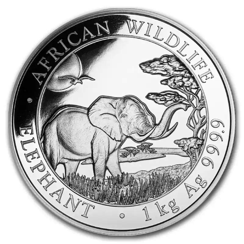 Oferta Somalische Olifant 1 kilo zilveren munt 2019 - Goudverzekerd