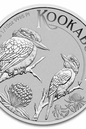 Zamów teraz Kookaburra 1/10 troy ounce platina munt 2023 - Goudverzekerd