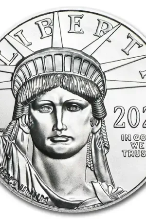 Tani American Eagle 1 troy ounce platina munt - Goudverzekerd