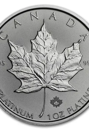 Canadian Maple Leaf 1 troy ounce platina munt 2018 - Goudverzekerd Darmowa dostawa