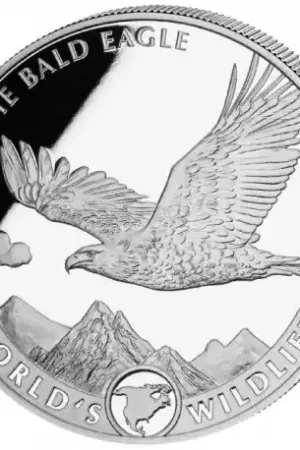 Autentyczny Wildlife #3 The Bald Eagle 1 troy ounce zilveren munt 2021 kopen