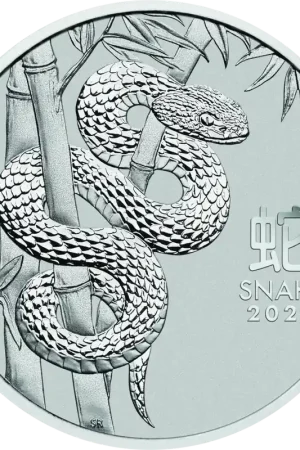 Lunar Series III Snake 1 troy ounce platina munt 2025 - Goudverzekerd Darmowa dostawa