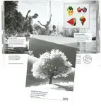 Zwitserland - Jaarboek 2021 Tylko dziś