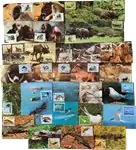 WWF - Pakket met maximumkaarten - 32 verschillende Oryginalny