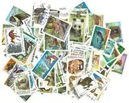 250 Wilde Dieren Autentyczny