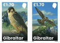 Tylko dziś Jonge Slechtvalken - Postfris souvenirvelletje