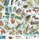 Darmowa dostawa WNF - 50 verschillende postzegels