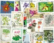 Bezpieczna płatność Bloemen - 100 verschillende postzegels