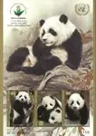 Verenigde Naties - Wuhan Tentoonstelling China 2019 Panda's - Postfris souvenirvelletje Nowość