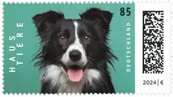 Zamów teraz Duitsland - Dog - Postfrisse postzegel