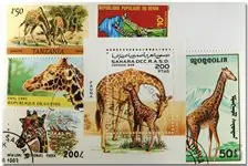 Tylko dziś Giraffe 1 souvenir velletje en 5 postzegels