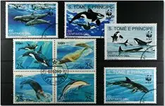 Autentyczny Walvissen 2 velletjes en 2 series