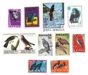 Darmowa dostawa Roofvogels - 10 verschillende postzegels