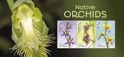 Wysoka jakość Australië - Orchids - Postfris souvenirvelletje