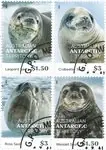 Australiën Antarctic - Seals - gestempeld Kup teraz