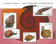België - Slakken - Postfris souvenirvelletje Wyprzedaż