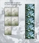 België - Young people build the future - Postfris velletje Tylko dziś