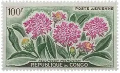 Congo - YT PA 2 - Postfris Ekspresowa dostawa