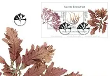 Darmowa dostawa Denemarken - EUROPA 2024 Underwater Fauna & Flora,internat. Rate - FDCmetsouvenirvelletje