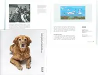 Denemarken - Jaarboek 2019 - Jaarboek Oryginalny