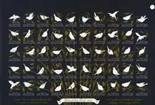 Wysoka jakość Denemarken - Kerstvelletje 1955 - Ongetand