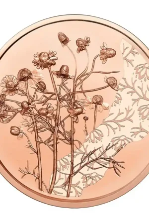 Oostenrijk 2023 10 Euro 'Kamille' Unc Najlepsza cena