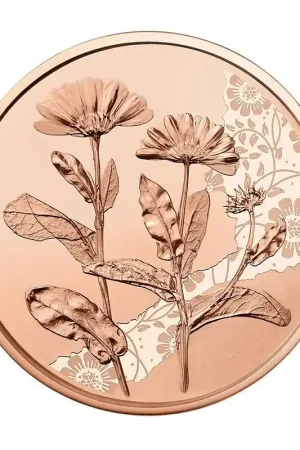 Oostenrijk 2022 10 Euro 'de Goudsbloem' Unc Oryginalny