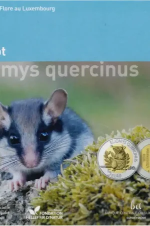 Oferta limitowana Luxemburg 2023 5 euro 'Eikelmuis' Proof