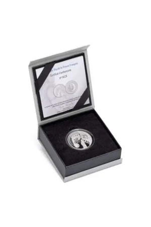 Tani Luxemburg 2023 25 euro 'Geboorte prins Francois' Proof