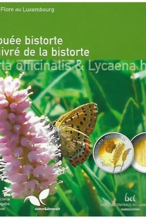 Luxemburg 2020 5 euro 'Adderwortel' Proof Rabat