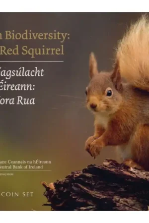 Bu set Ierland 2023 Najlepsza cena