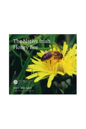 Ekspresowa dostawa Bu set Ierland 2021