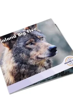 Bu set Finland 2026 World Money Fair Berlin 'Big five-de Wolf' Ekspresowa dostawa