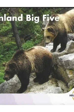 Ekspresowa dostawa Bu set Finland 2025 World Money Fair Berlin 'Big five'