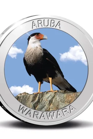 Aruba 5 Florin Warawara 2022 Zilver Prooflike Ostatnia szansa