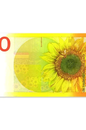 50 Gulden Zonnebloem 1982 UNC Wysoka jakość