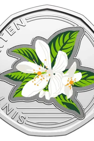 Kup teraz Sint Maarten 50 Cent "Oranjebloesem" 2025